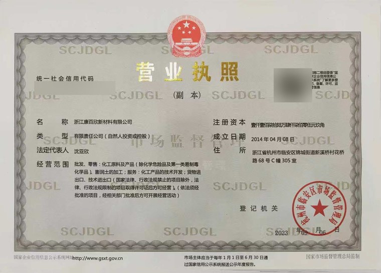 CAMP-SHINNING business registration preview with company number and QR code obscured